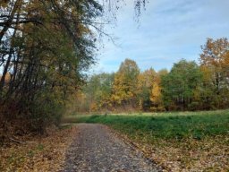 57292699112940159091930216855692136434245867n